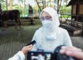 Purwakarta Nihil PMK, Bupati Sebar Petugas Pemeriksa Hewan Kurban
