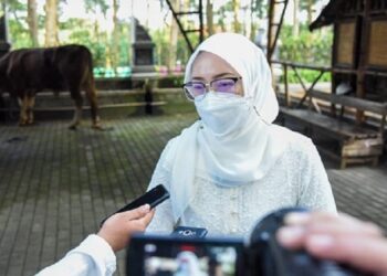 Purwakarta Nihil PMK, Bupati Sebar Petugas Pemeriksa Hewan Kurban