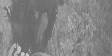 Aksi Dua Remaja di Purwakarta Curi Sepeda Motor Terekam CCTV, Kini Pelaku Sedang Dicari