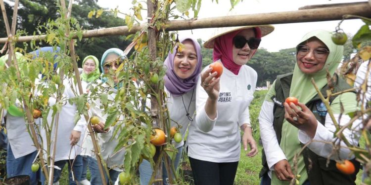 Atalia Ajak Kader Tingkatkan Kapasitas dan Kekompakan