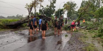 Pohon Tumbang, Arus Lalin Jalur Tasik-Manonjaya Terganggu