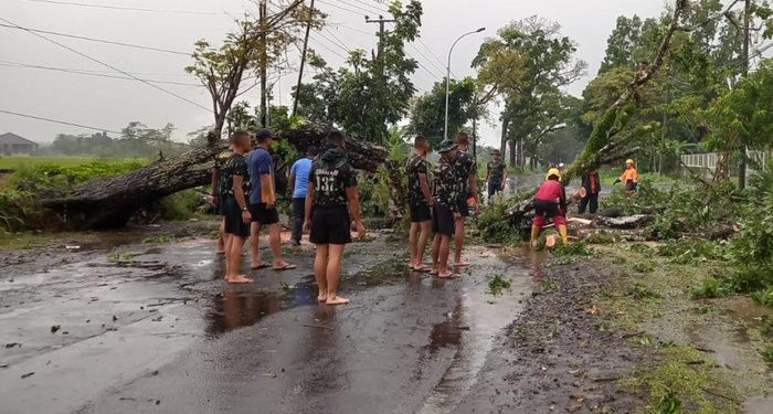 Pohon Tumbang, Arus Lalin Jalur Tasik-Manonjaya Terganggu