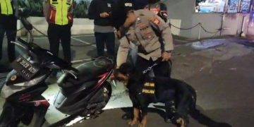 Seorang Pemuda Tercium Anjing Pelacak Konsumsi Psikotropika Saat Nongkrong di Alun-alun Cimahi