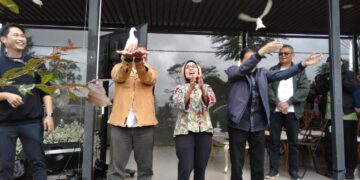 Bobocabin Hadirkan, Tife Cabin Friemer Cabin’ Hadir Di Bandung.