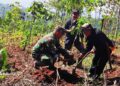 Lestarikan Lingkungan Koramil 1015, Cibugel Laksanakan Penanaman Pohon