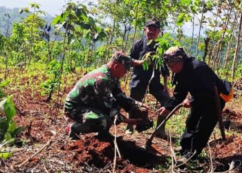 Lestarikan Lingkungan Koramil 1015, Cibugel Laksanakan Penanaman Pohon