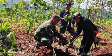 Lestarikan Lingkungan Koramil 1015, Cibugel Laksanakan Penanaman Pohon