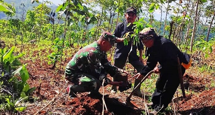 Lestarikan Lingkungan Koramil 1015, Cibugel Laksanakan Penanaman Pohon