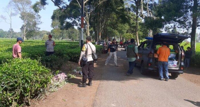 2 Pengamen yang Ditemukan Tewas di Perkebunan Teh Malabar Diduga Kuat OD