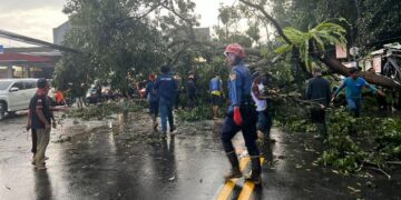 Hujan Angin Pohon Tumbang, 10 Rumah Warga Ciawi Tasikmalaya Rusak