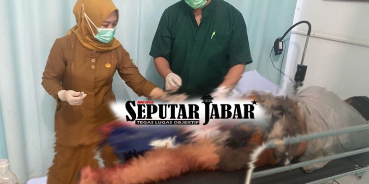 Warga Bungbulang Dikeroyok Orang Tidak Dikenal, Terluka Parah Kena Tikam Samurai