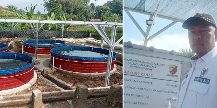 Desa Pasirhuni Alokasikan Ketahanan Pangan dari Dana Desa Untuk Peternakan Ikan Nila