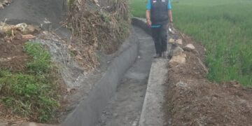 Dinas Pertanian UPT Caringin Garut Realisasikan Bangun Irigasi Sepanjang 137 Meter