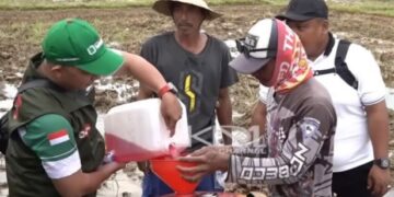 Bahan Bakar dari Jerami, Dedi Mulyadi Tunjukkan Uji Coba BOBIBOS