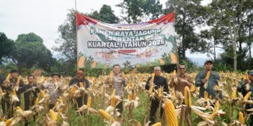 Polres Bogor Dukung Program Ketahanan Pangan Nasional melalui Panen Raya Jagung Serentak Kuartal I Tahun 2026